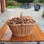 Domaine De Montvianeix Oda ve Kahvaltı 3*