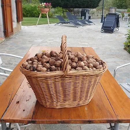 Domaine De Montvianeix לינה וארוחת בוקר 3*